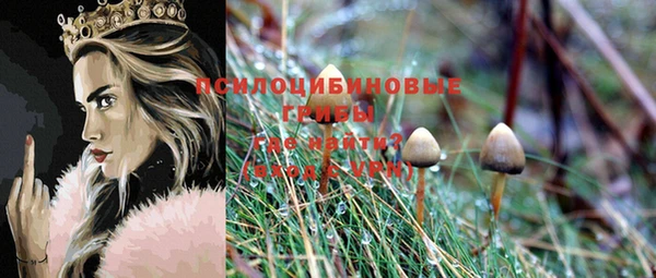 MDMA Premium VHQ Абаза